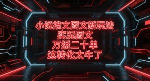 小说推文图文新玩法，实况图文，万播二十单，这转化太牛了！-KJ分享