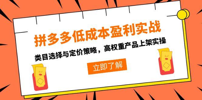 拼多多低成本盈利实战,类目选择与定价策略,高权重产品上架实操-KJ分享