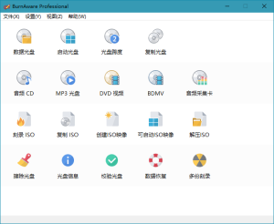 BurnAware Professional v17.2.0-KJ分享