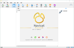 Navicat Premium v16.3.7绿色版-KJ分享
