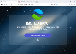 猫眼浏览器v4.6.2便携版-KJ分享