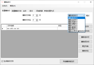 万能TxT文件超级批量处理器-KJ分享