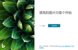 Bing Wallpaper v2.0.1.4中文版-KJ分享