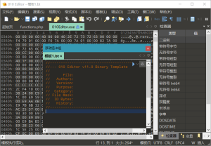 十六进制编辑器010 Editor v16.02汉化绿色版-KJ分享