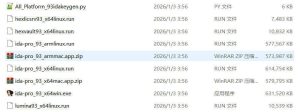 全平台IDA Pro 9.3beta泄露版+注册机-KJ分享