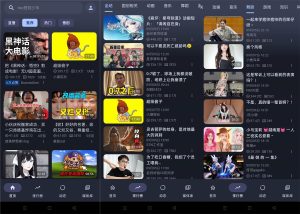 PiliPala b站第三方客户端v1.0.27-KJ分享