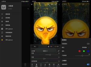 安卓Adobe Lightroom v11.1.0高级版-KJ分享