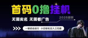 首码0撸挂G项目，无需实名无需看广告 一键启动运行，小白轻松日入三位数-KJ分享