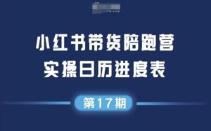 小红书第17期带货陪跑营，不囤货，无不直播，无不投流，通过选品+笔记内容+测品+笔记铺量+矩阵运营打爆款-KJ分享