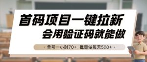 首码项目一键拉新,会用验证码就能做 单号一小时70+,批量做每天5张-KJ分享