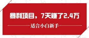 最新暴利项目,每单收益轻松在300以上,7天赚了2.4万-KJ分享