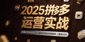2025拼多多运营实战:店铺定位选品技巧,爆款打造全流程解析(更新6月)-KJ分享