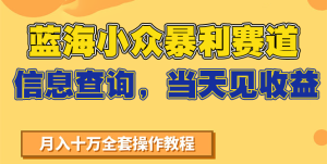 蓝海小众暴利赛道，信息查询，当天见收益，不讲玄学，7天搞了2万+-KJ分享