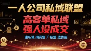 一人公司私域联盟，高客单私域，强人设成交，建私域 搞发售 广结盟 造势能-KJ分享