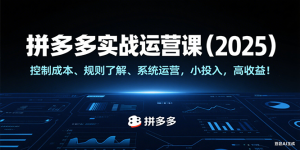 拼多多实战运营课(2025),控制成本、规则了解、系统运营,小投入,高收益!-KJ分享