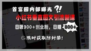 首富圈内部曝光小红书垂直图文引流新课,日吸300+创业粉,日赚800+,限…-KJ分享