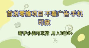 首发零撸项目 不看广告 手机可做 新手小白可以做  月入3k+-KJ分享
