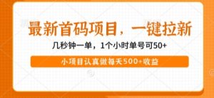 最新首码项目，操作最简单，收益高，一键拉新，1个小时单号可50+，小项目认真做每天5张+收益-KJ分享
