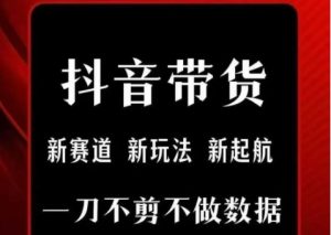 抖音短视频一刀不剪带货，不剪辑，不直播，每天发个视频，等着出单获取带货佣金-KJ分享