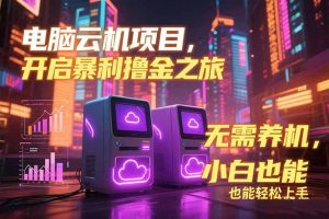 电脑云机项目 暴力撸金玩法,不需要养机 配置没有要求 单机100个窗口一…-KJ分享