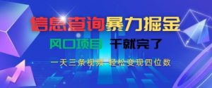 信息查询暴力掘金，一天三条视频，轻松变现四位数，风口项目干就完了-KJ分享