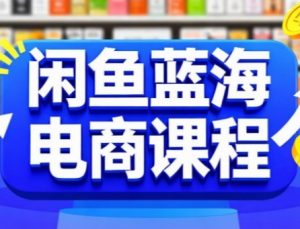 闲鱼蓝海电商课程，手把手助你快速上手，轻松实现闲鱼稳定盈利-KJ分享