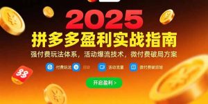 拼多多盈利实战指南,强付费玩法,活动爆流技术,微付费破局方案(更新7月)-KJ分享