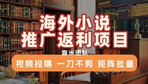 海外小说推广返利项目,视频投喂, 一刀不剪,矩阵批量-KJ分享