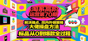 淘系高阶运营第70期,解决难点、改内外销策略,大佬操盘方法,标品从0到爆款全过程-KJ分享
