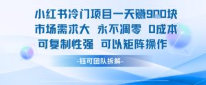 小红书冷门项目一天收益9张,市场需求大,0成本,可复制性强可以矩阵操作-KJ分享