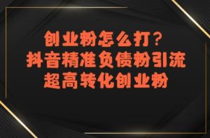 创业粉怎么打?抖音精准负债粉引流,超高转化创业粉-KJ分享