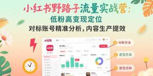 小红书野路子流量实战营：低粉高变现定位 对标账号精准分析 内容生产提效-KJ分享