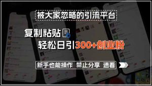 被大家忽略的引流平台，复制粘贴轻松日引300+创业粉，新手也能操作，禁…-KJ分享