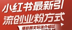 小红书最新引流创业粉方式,项目图文玩法介绍以及如何安全倒流私域-KJ分享