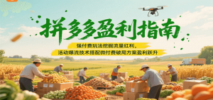 拼多多盈利指南:强付费玩法挖掘流量红利,活动爆流技术搭配微付费方案实现盈利跃升-KJ分享