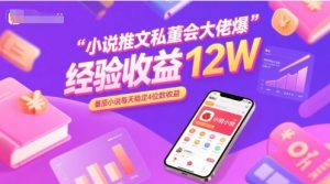 小说推文私董会大佬爆单经验分享收益12W，番茄小说每天稳定4位数收益-KJ分享