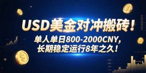 USD美金对冲搬砖!单人单日800-2000CNY,长期稳定运行8年之久!-KJ分享
