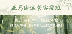 亚马逊运营实操班,提升转化率、规避风险,打造从零基础到专业运营的成长路径-KJ分享