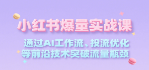 小红书爆量实战课，通过AI工作流、投流优化等前沿技术突破流量瓶颈-KJ分享