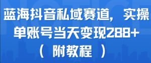 蓝海抖音私域赛道，实操单账号当天变现288+(附教程)-KJ分享