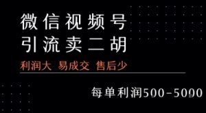 视频号卖二胡教程,利润大 易成交 售后少,一单利润5张+-KJ分享