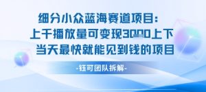小众蓝海赛道项目：当天变现1k+适合新手操作 +适合长期玩-KJ分享