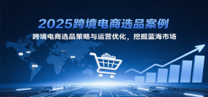 2025跨境电商选品案例，跨境电商选品策略与运营优化，挖掘蓝海市场-KJ分享