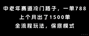 中老年赛道冷门路子,一单788,上个月出了1500单,全流程玩法,保底模式-KJ分享