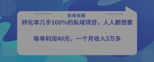转化率最高的私域项目,每单利润40-50米,月入过1w-KJ分享