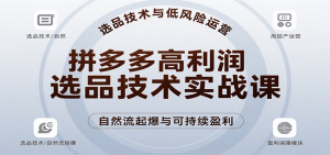 拼多多高利润选品技术实战课，手把手教学自然流高投产起爆，实现低风险可持续盈利-KJ分享