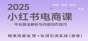 2025小红书电商课：解析算法，创作高转化内容，助力卖家获取流量实现变现（录音）-KJ分享