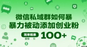 微信私域群如何暴力被动添加创业粉，简单粗暴，日引100+-KJ分享
