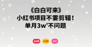 小白可来 小红书项目不需要剪辑 单月3w不是问题-KJ分享
