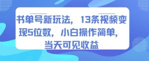 书单号新玩法，13条视频变现5位数，小白操作简单，当天可见收益-KJ分享